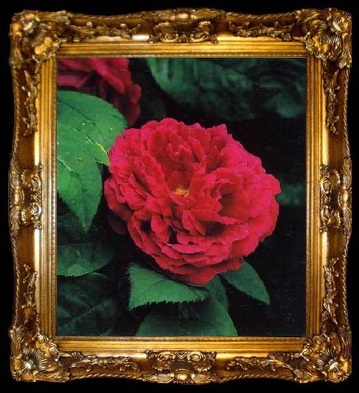 framed  unknow artist Still life floral, all kinds of reality flowers oil painting  337, ta009-2